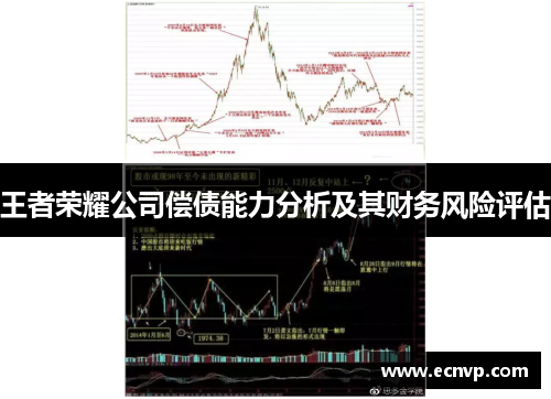 王者荣耀公司偿债能力分析及其财务风险评估